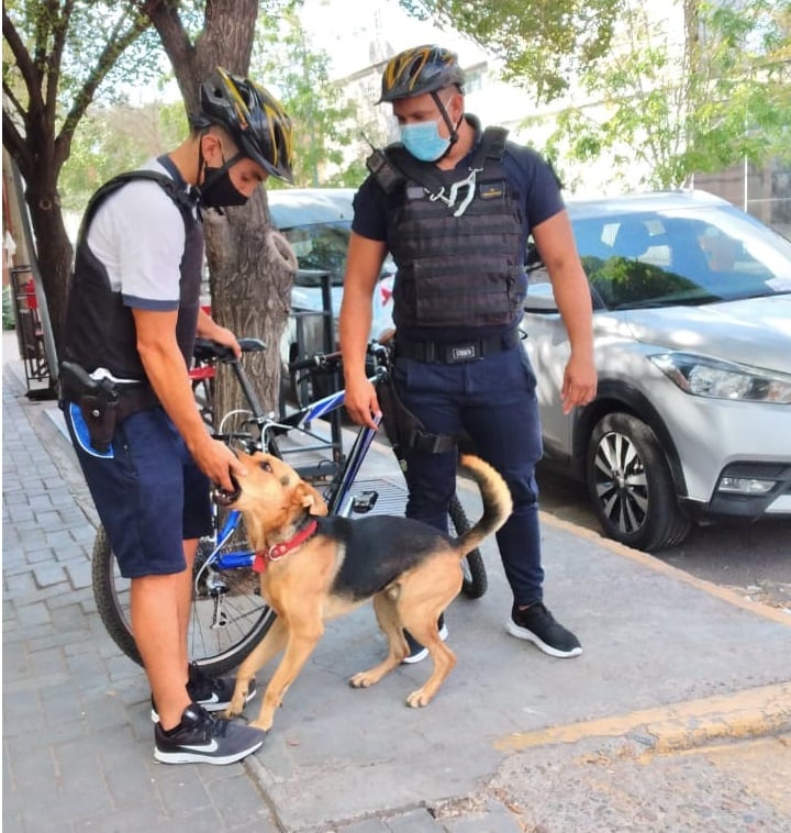 En una oportunidad, uno de los uniformados había caído al piso luego de que un delincuente le diera una trompada. Y cuando el malviviente se preparaba para darle una patada, Camilo se prendió de su pierna y evitó que lo golpee.