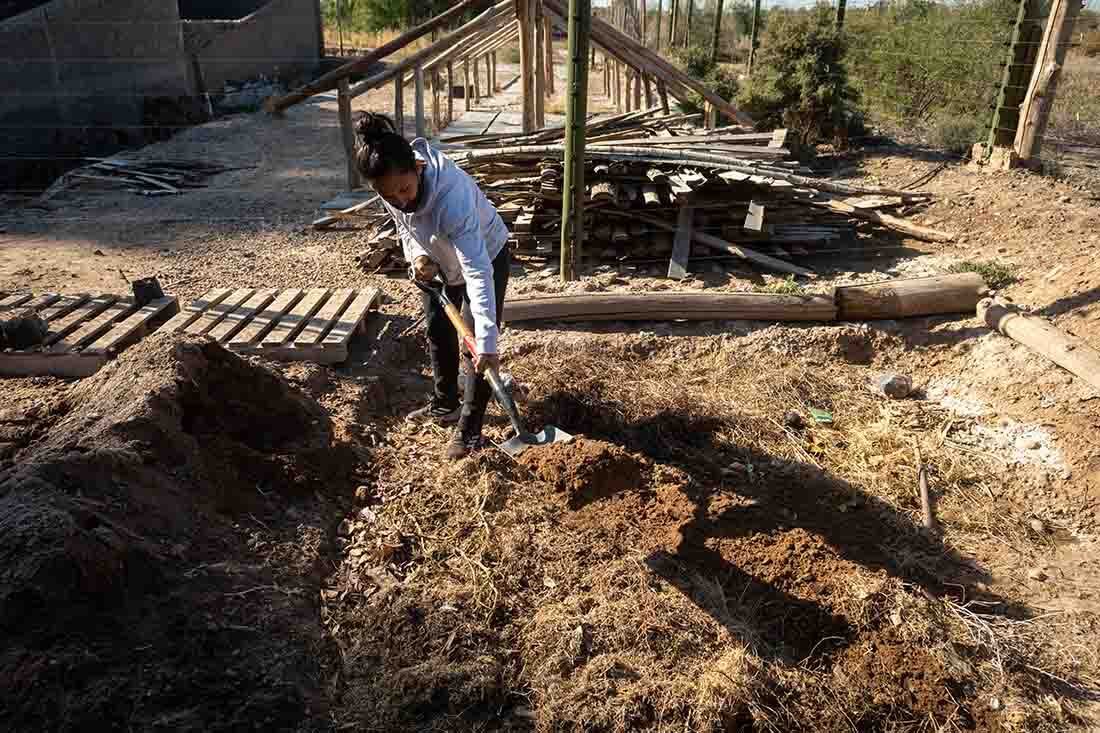 Es una Asociación llevada adelante por mujeres en y para el departamento de Las Heras en la cual producen plantas nativas para restaurar el ecosistema afectado por la industria o el ser humano
Soledad Nuñez realizando compost