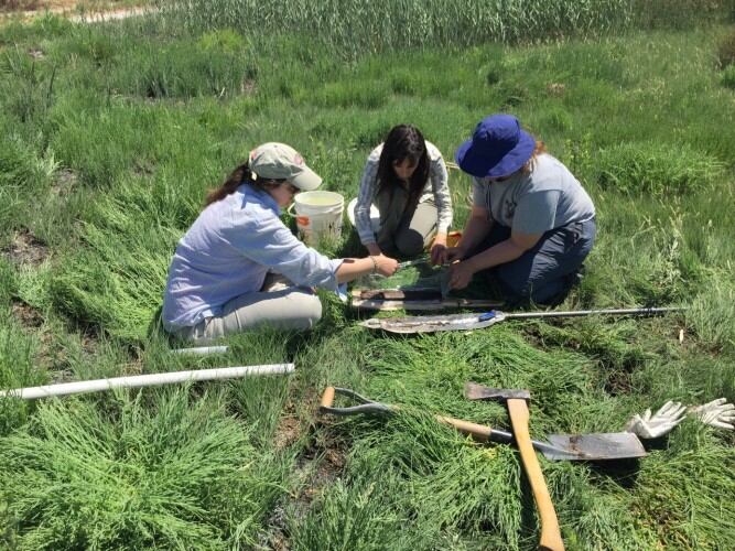 Los datos surgen de una investigación que busca comprender la historia ambiental del noroeste de Mendoza en los últimos 100 mil años.