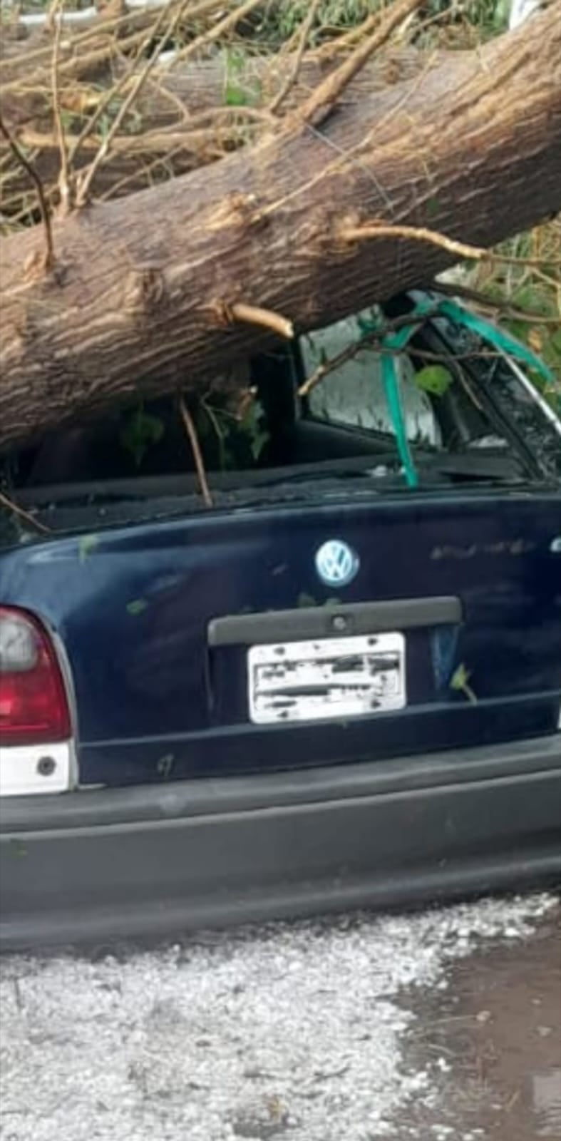 La intensa tormenta de granizo en Santa Rosa dejó un muerto y daños graves en cultivos. Foto: Prensa Seguridad de Mendoza