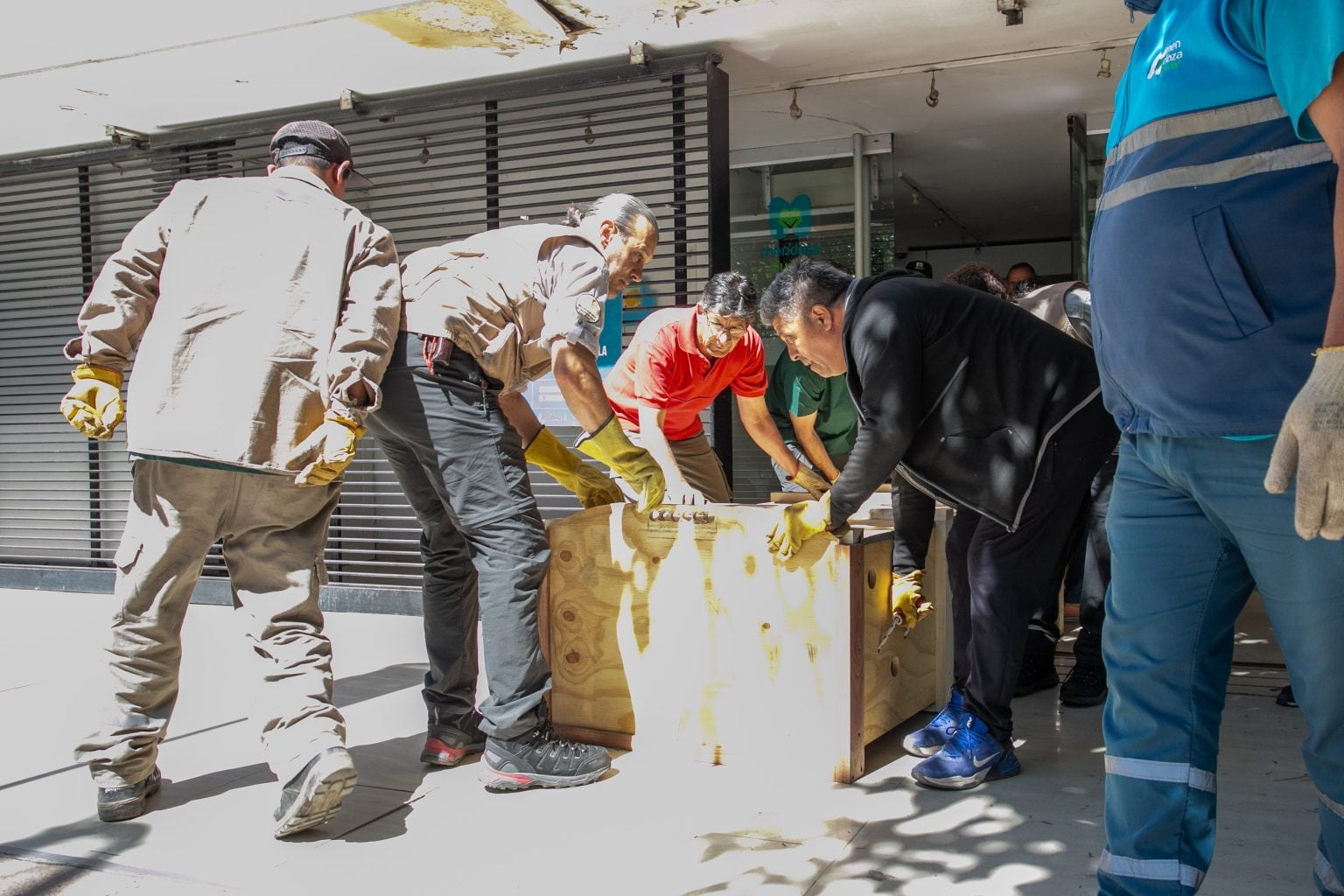 Se realizó el traslado de un yacaré y tortugas desde la Ciudad de Mendoza a Santa Fe