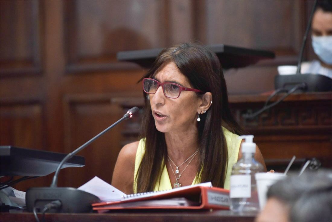 La senadora suarista Natacha Eisenchlas, vuelve a aparecer posicionada para ocupar la presidencia del bloque oficialista en la Cámara Alta.