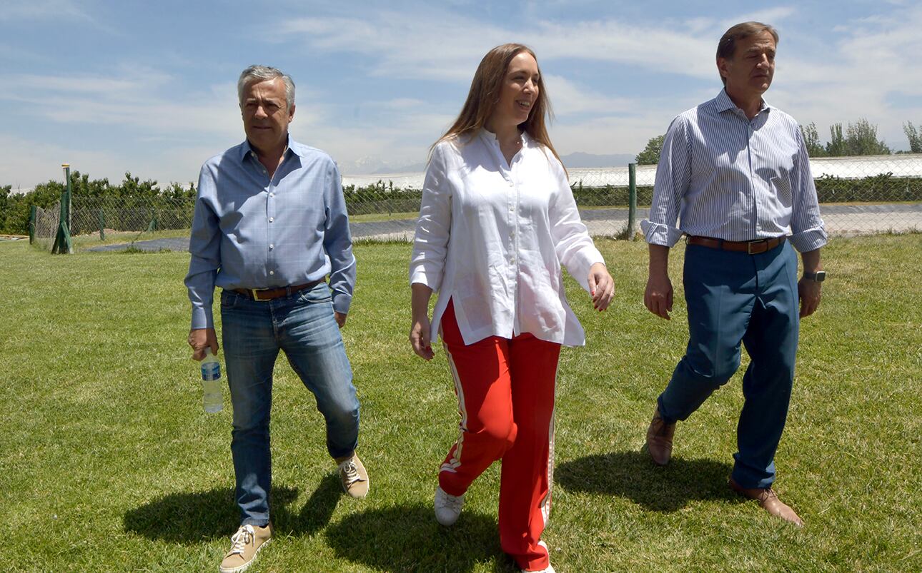 La diputada María Eugenia Vidal visitó junto al gobernador Rodolfo Suárez y al ex gobernador Alfredo Cornejo, una planta modelo de agricultura en Luján de Cuyo.

Foto: Orlando Pelichotti 