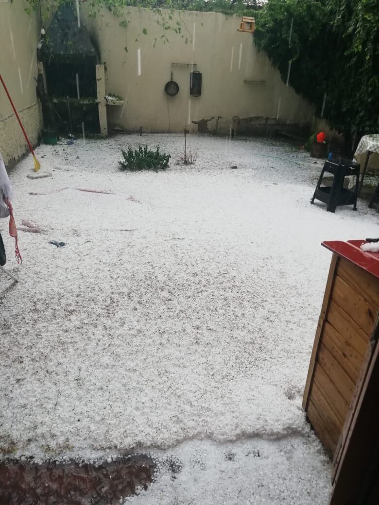 Los patios y jardines quedaron blancos como si hubiera nevado