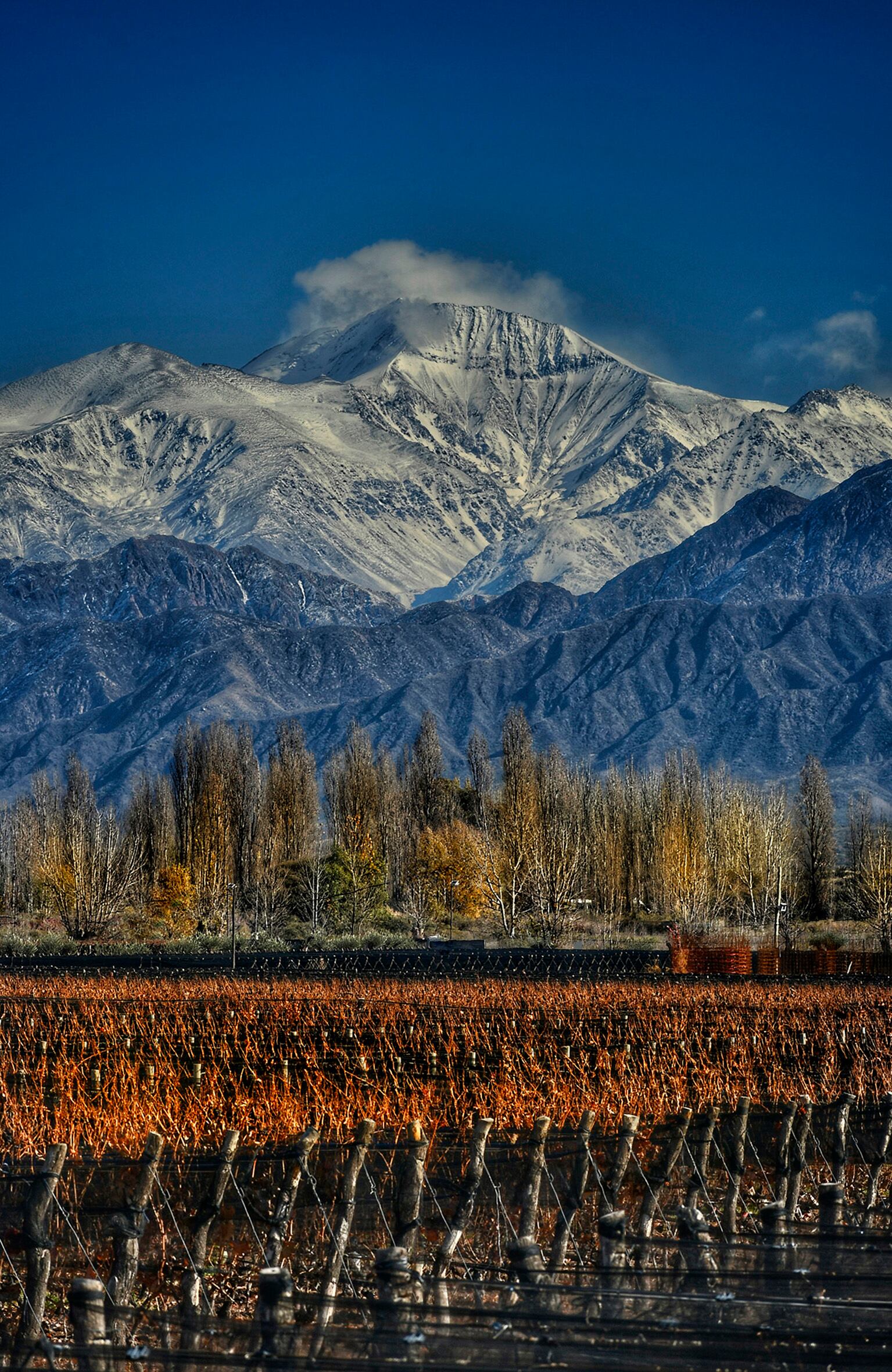 Nieva en la cordillera. 