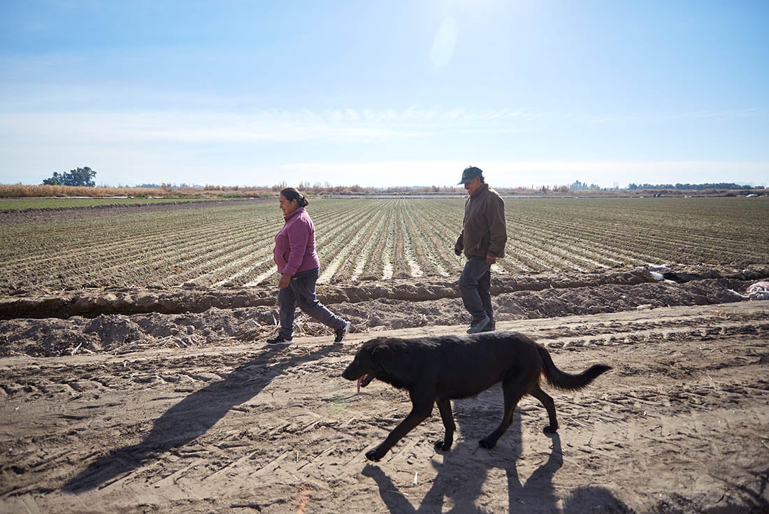 Día de la Agricultura Nacional: Susana y Moisés dicen amar esta tierra. 