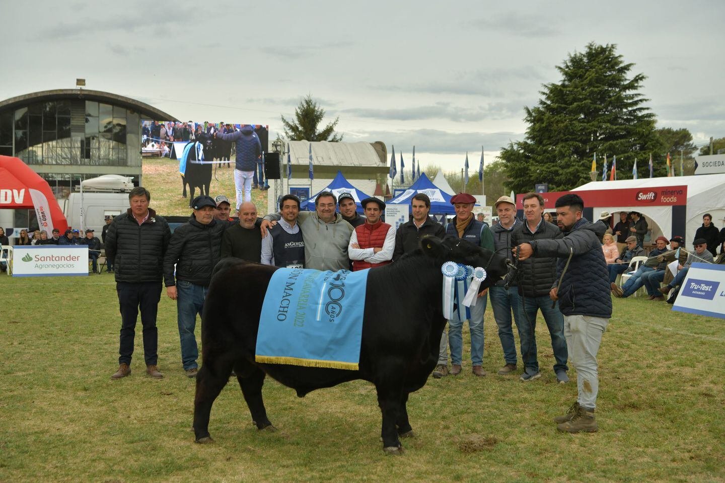 Exposición Nacional Angus: la cabaña Inambú se quedó con el premio del Gran Campeón Macho