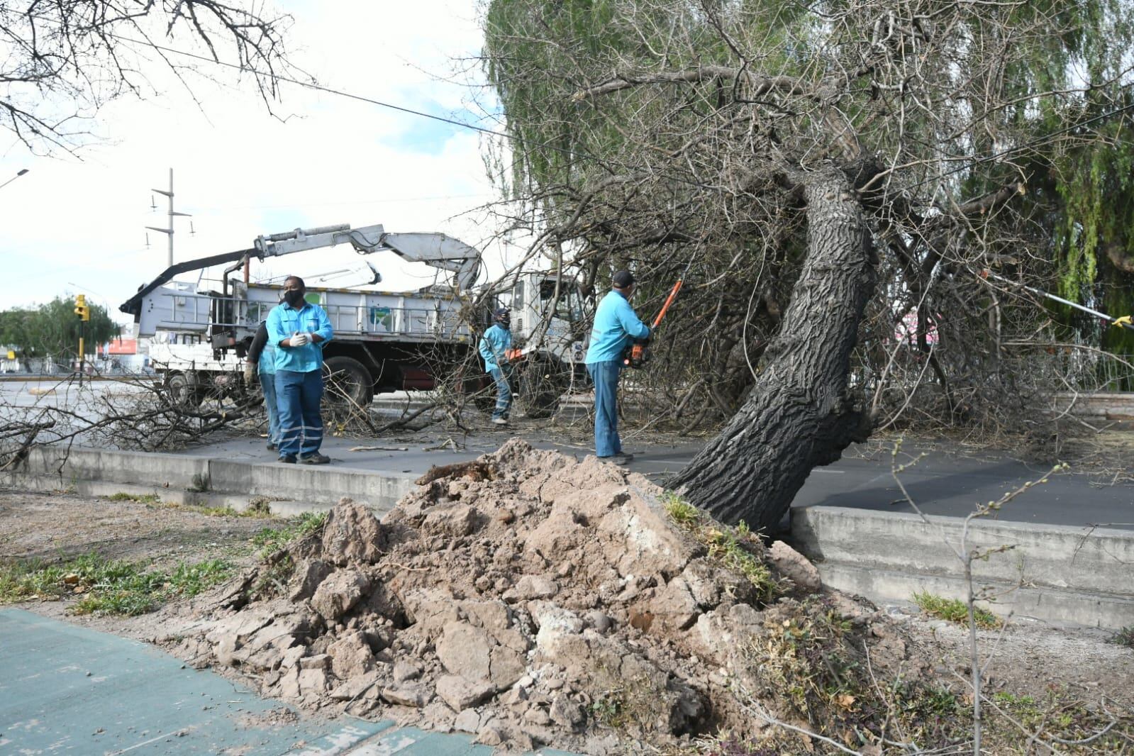 En la avenida Costanera cayeron varios árboles sobre la calzada.