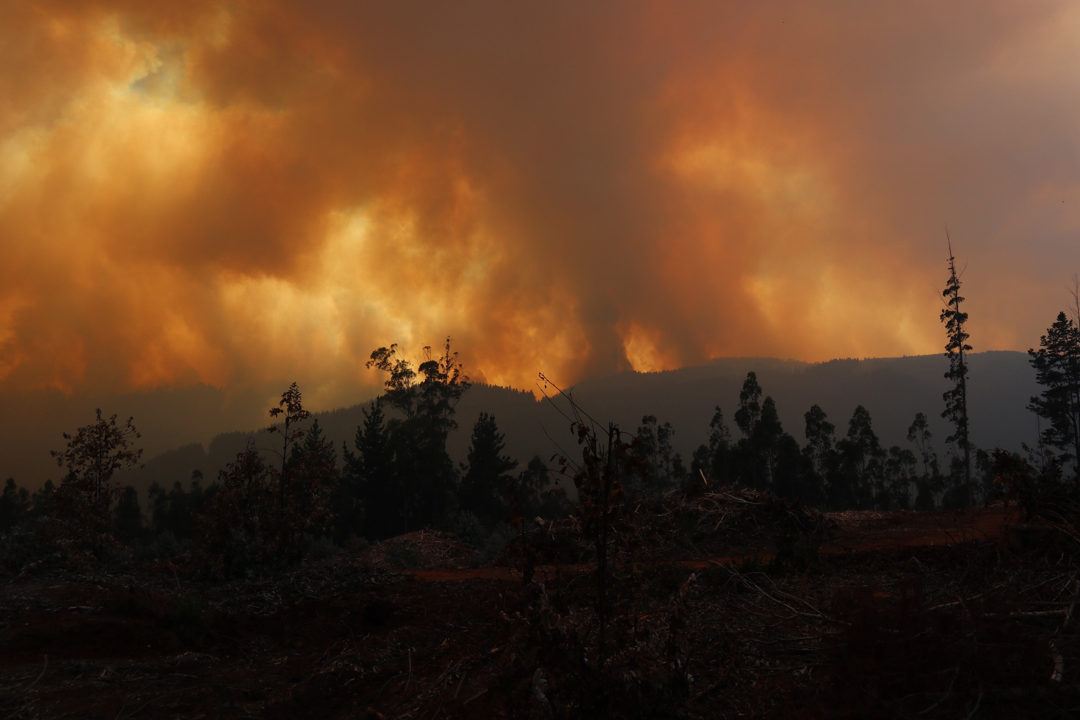 Incendios forestales en Chile