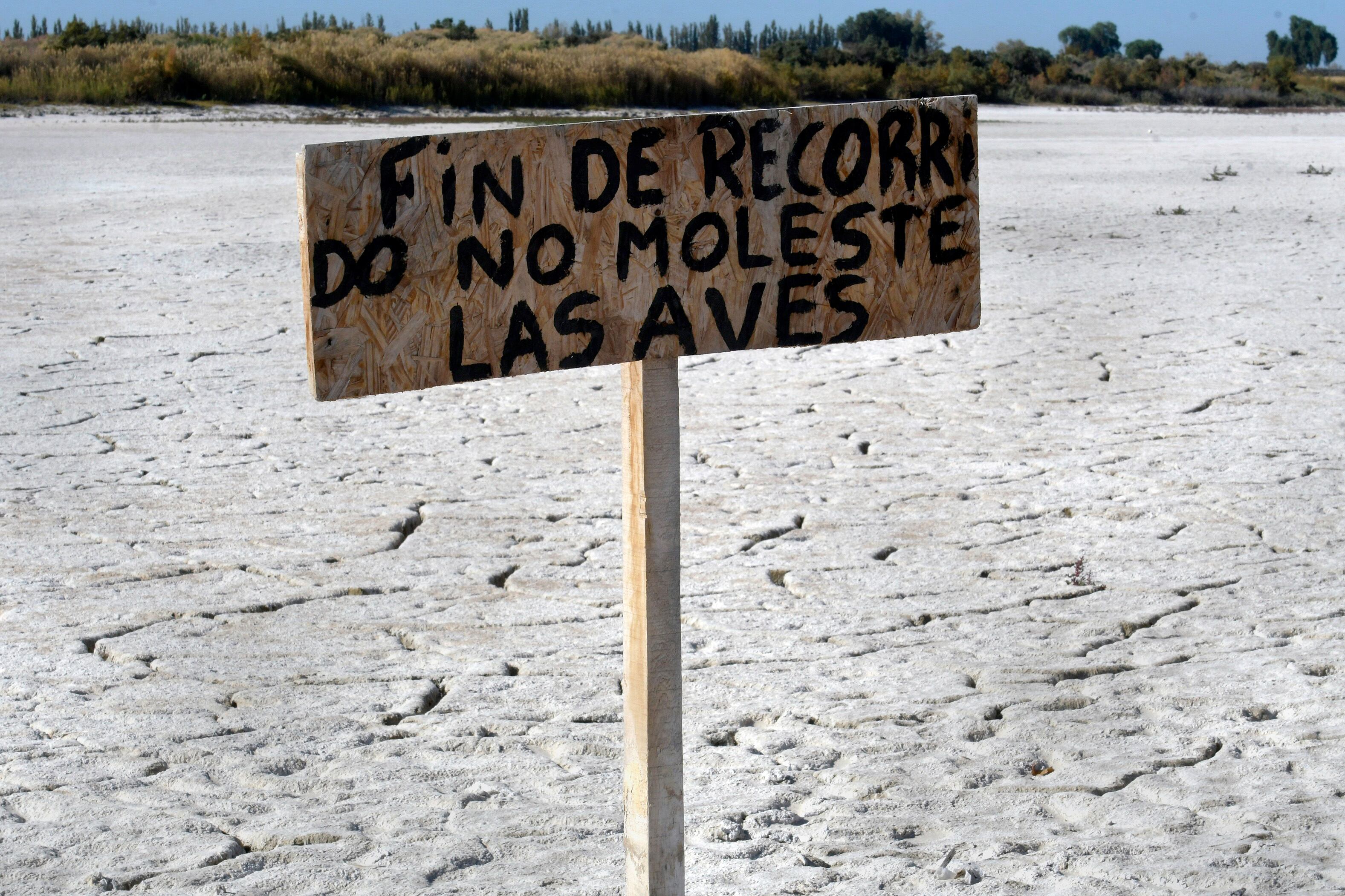 La Laguna del Viborón, un humedal clave que está al borde de la sequía absoluta y desaparición. Foto: Orlando Pelichotti / Los Andes.