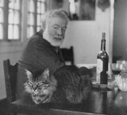 Ernest Hemingway decía que los gatos eran más transparentes que muchos humanos. Foto del sitio web de la Casa Hemingway.