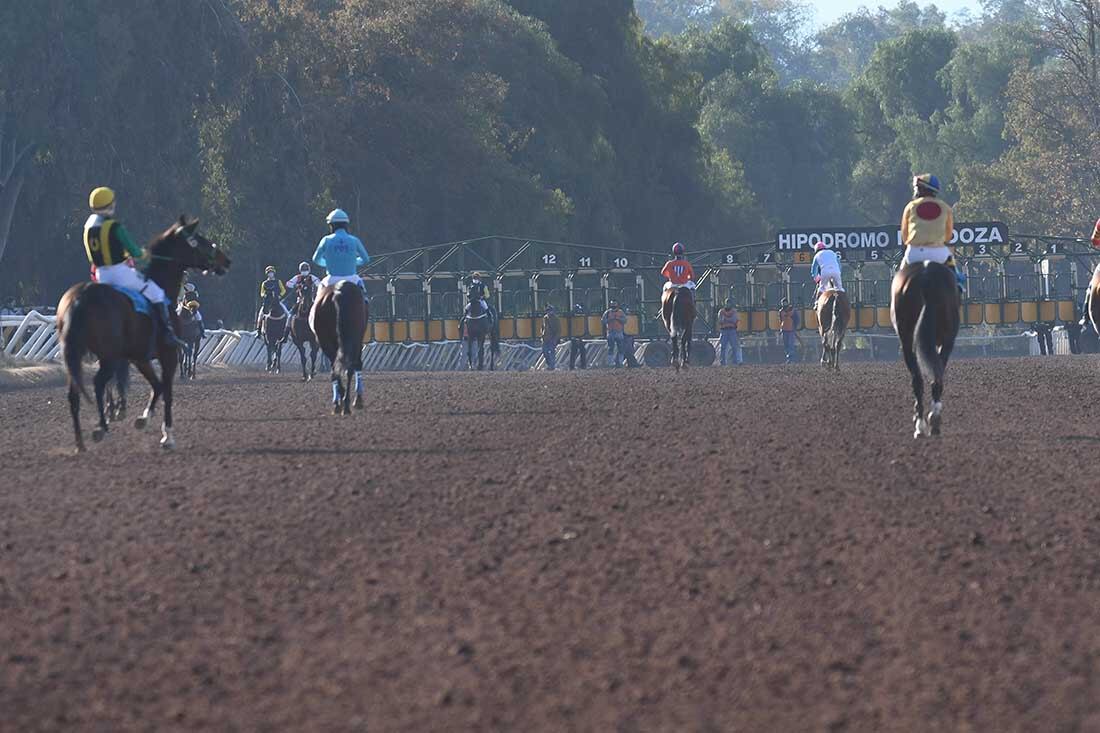 Los caballos se dirigen a las gateras para largar el gran premio clásico Santo Patrono Santiago