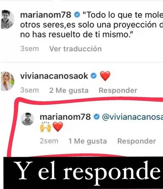 Instagram: comentarios de Viviana Canosa y Mariano Martínez