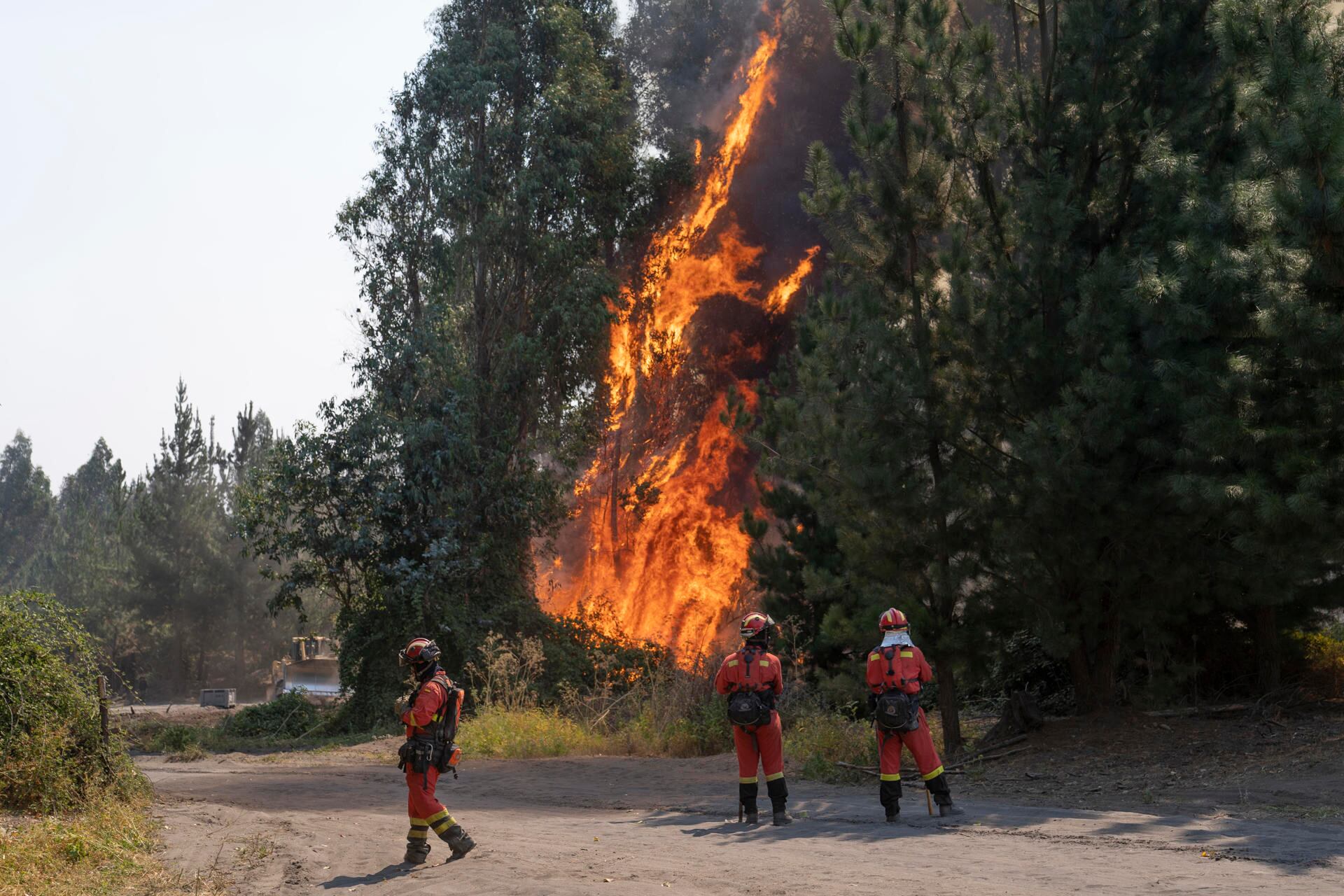 AME2487. CABRERO (CHILE), 07/02/2023.- Efectivos de la Unidad Militar de Emergencias (UME) del Ejército español combaten hoy incendios en la comuna de Cabrero, región del Bío Bío (Chile).  Los brigadistas internacionales llegados desde España y México para apoyar a Chile comenzaron hoy a desplegarse y actuar en la región central de Biobío, situada a unos 500 kilómetros al sur de la capital y epicentro de la oleada de incendios forestales que padece el país, la más devastadora en décadas. EFE/ Adriana Thomasa
