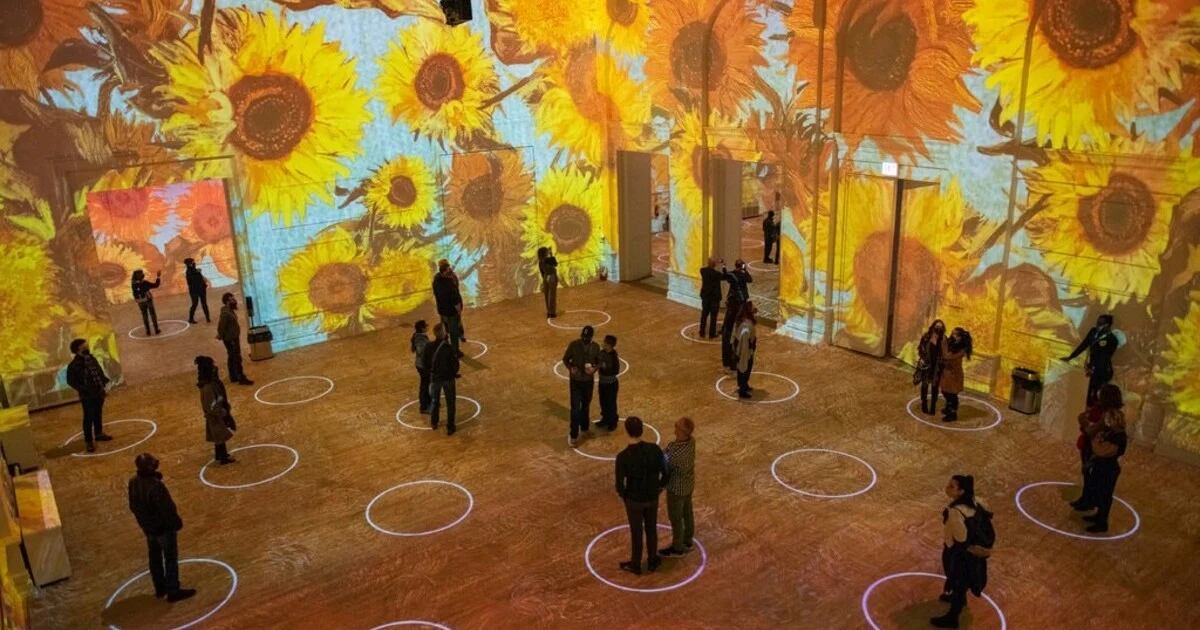 Experiencia interactiva de las obras de Van Gogh. / Foto: Gentileza