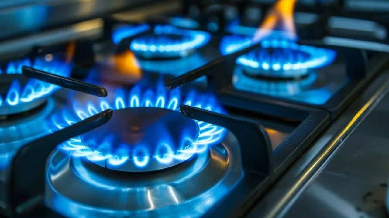 Para realizar el trámite por el subsidio de luz y gas hay tiempo hasta el 5 de agosto. 