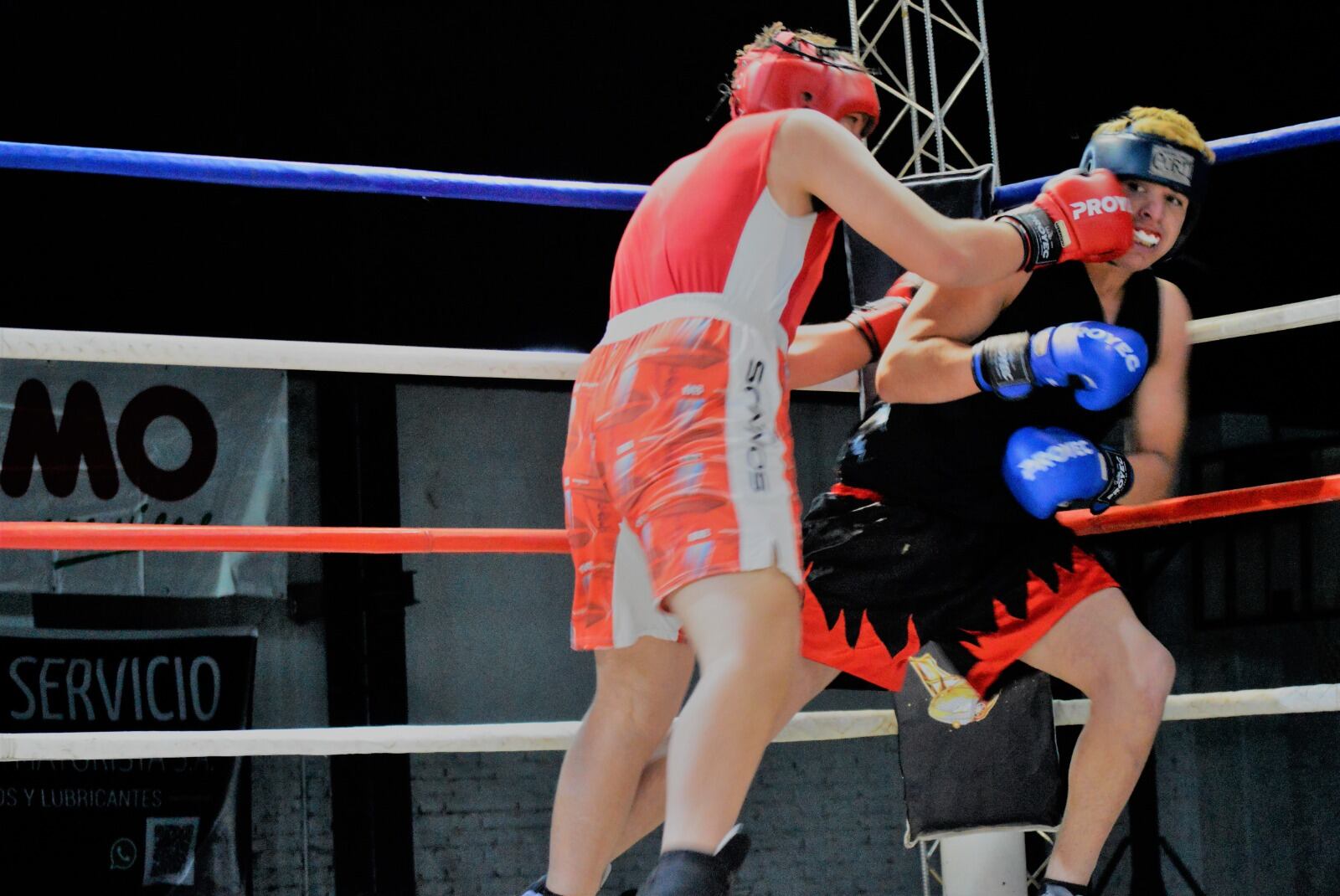 El Torneo tradicional de Mendoza, "Guantes de Oro", se disfruta en el mítico estadio Pascual Pérez. / Gentileza.