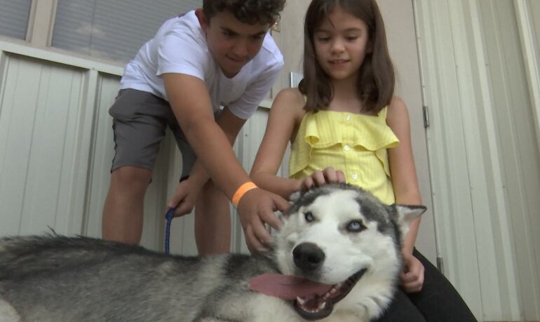 Nanook junto a su nueva familia.