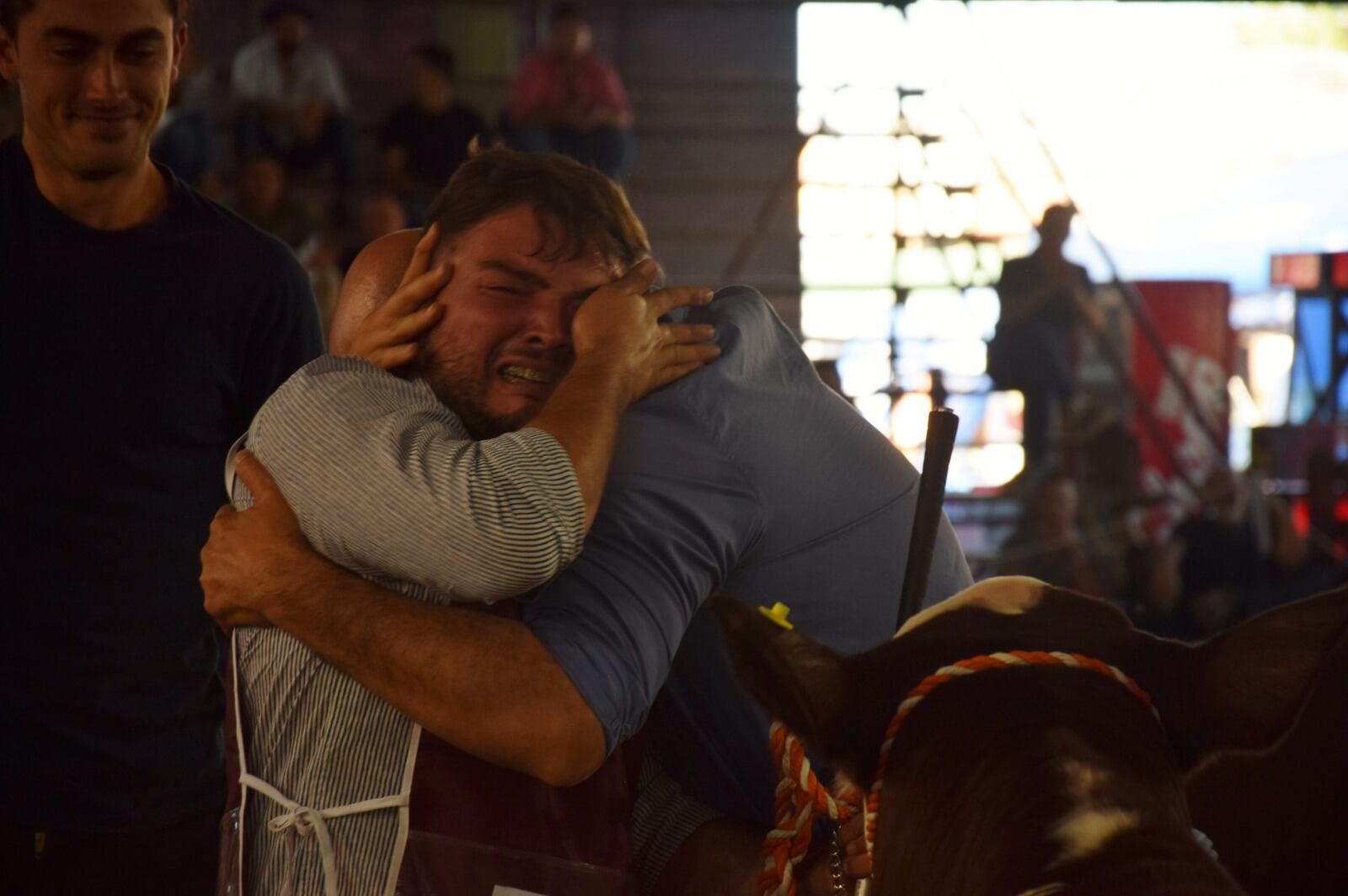 Juan Zeman, joven cabañero de cabaña Doble Zeta, quien recibió las felicitaciones por esta gran campeona. Foto: Gentileza Expoagro