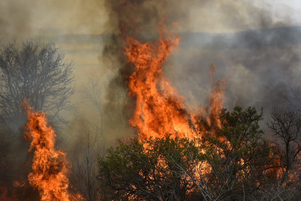 Incendios en Capilla del Monte. (Gobierno de Córdoba)