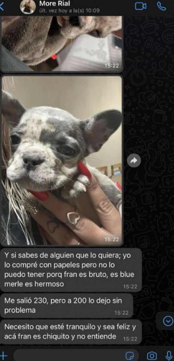 Acusaron a Morena Rial de vender a su perro.