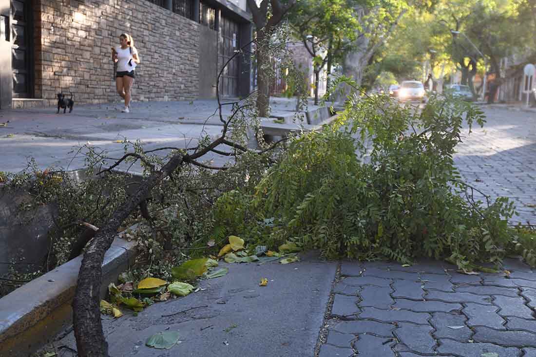 Foto: José Gutierrez/ Los Andes 