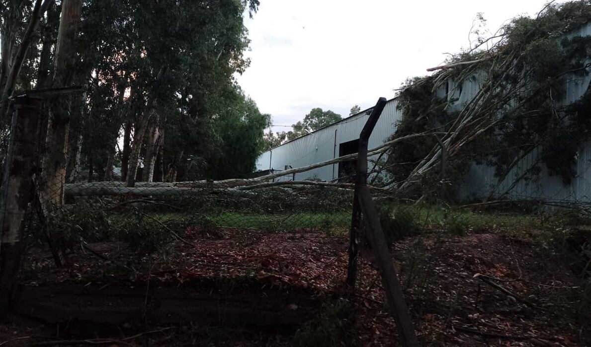 Daños de la tormenta en Barrancas, Maipú (Facebook)