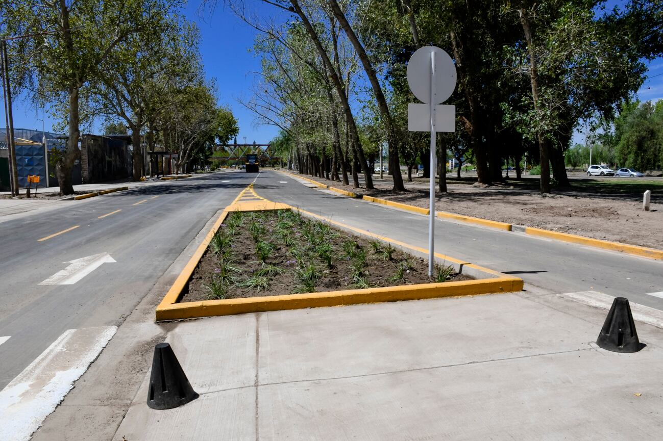 Bandera de Los Andes