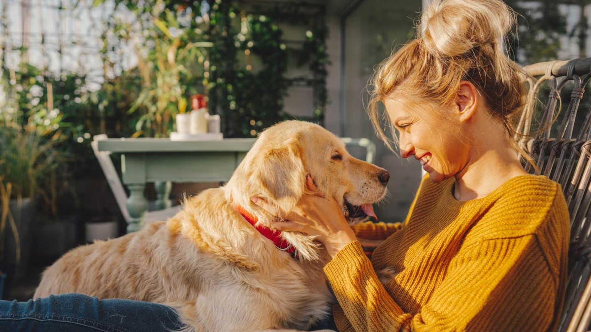 Este es el beneficio de hablarle a los perros como si fueran bebés.