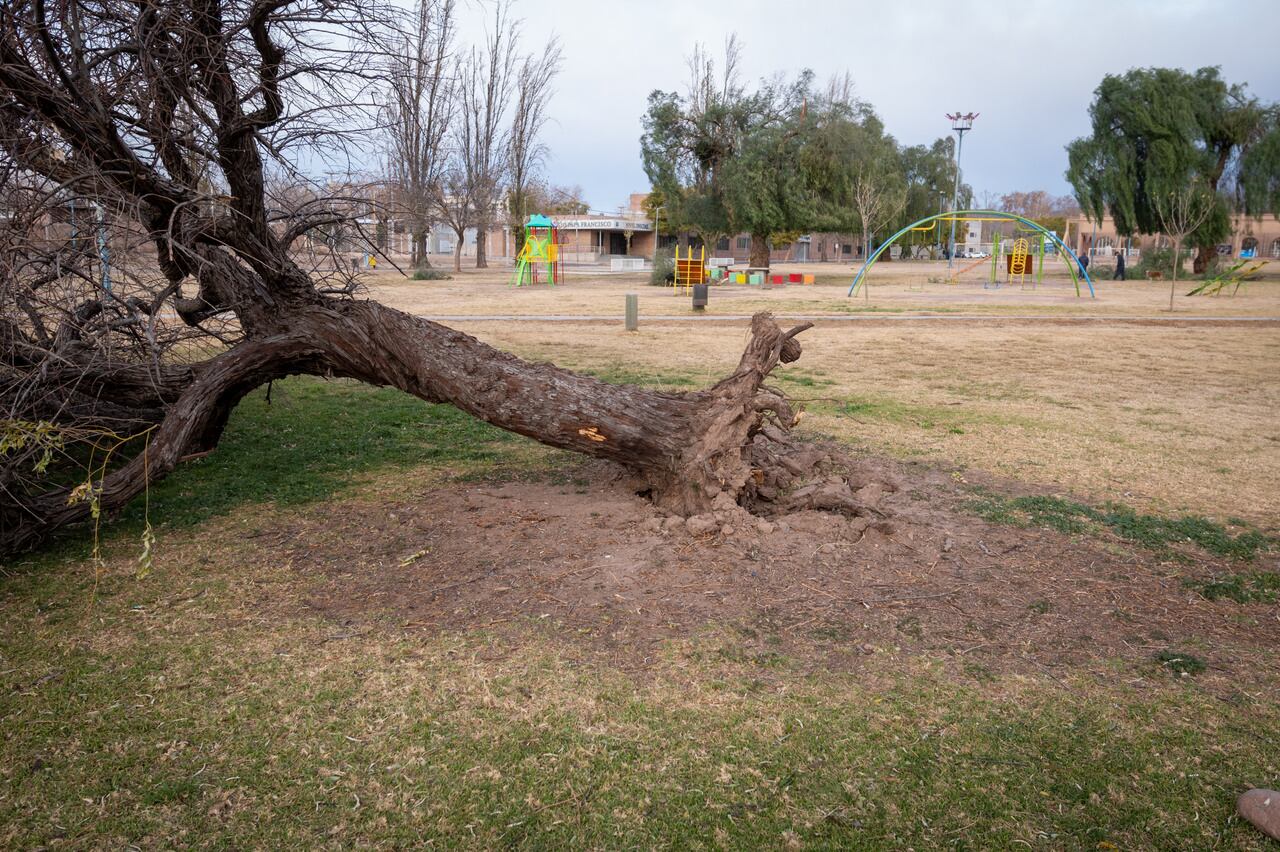 Parque San Vicente, Godoy Cruz. | Foto: Ignacio Blanco / Los Andes