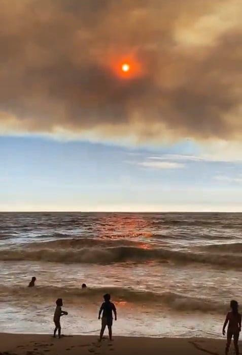 En solo dos días, y en medio de los incendios en Viña, cruzaron a Chile más de 20.000 personas y es récord. Foto: X @VALLEOVA