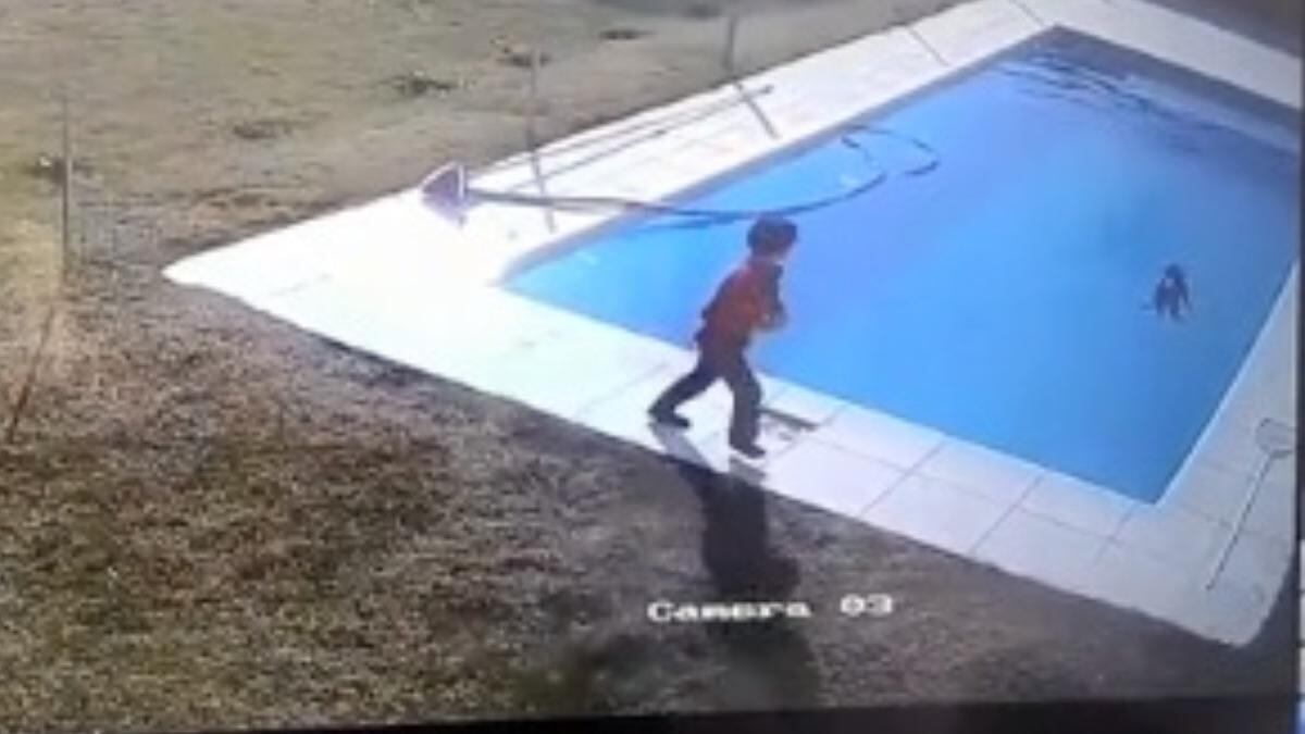 Un nene de 5 años, salió al patio se llevó el susto de su vida al encontrarse con su fiel amigo flotando. Foto: Web