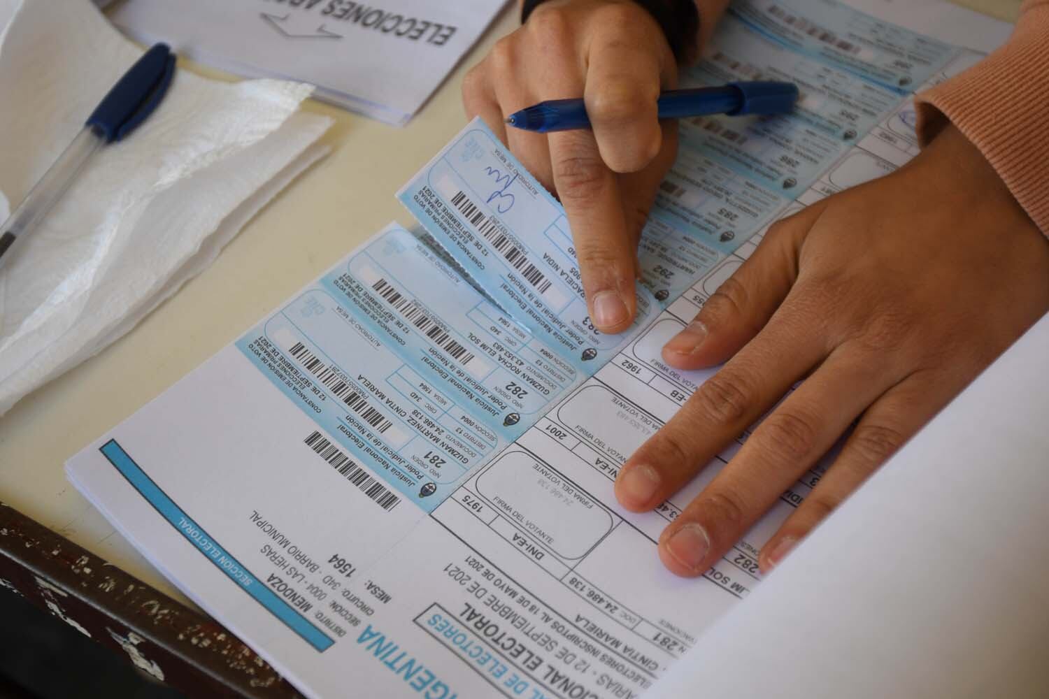 Consultá el padrón electoral antes de ir a votar (José Gutiérrez / Los Andes) 