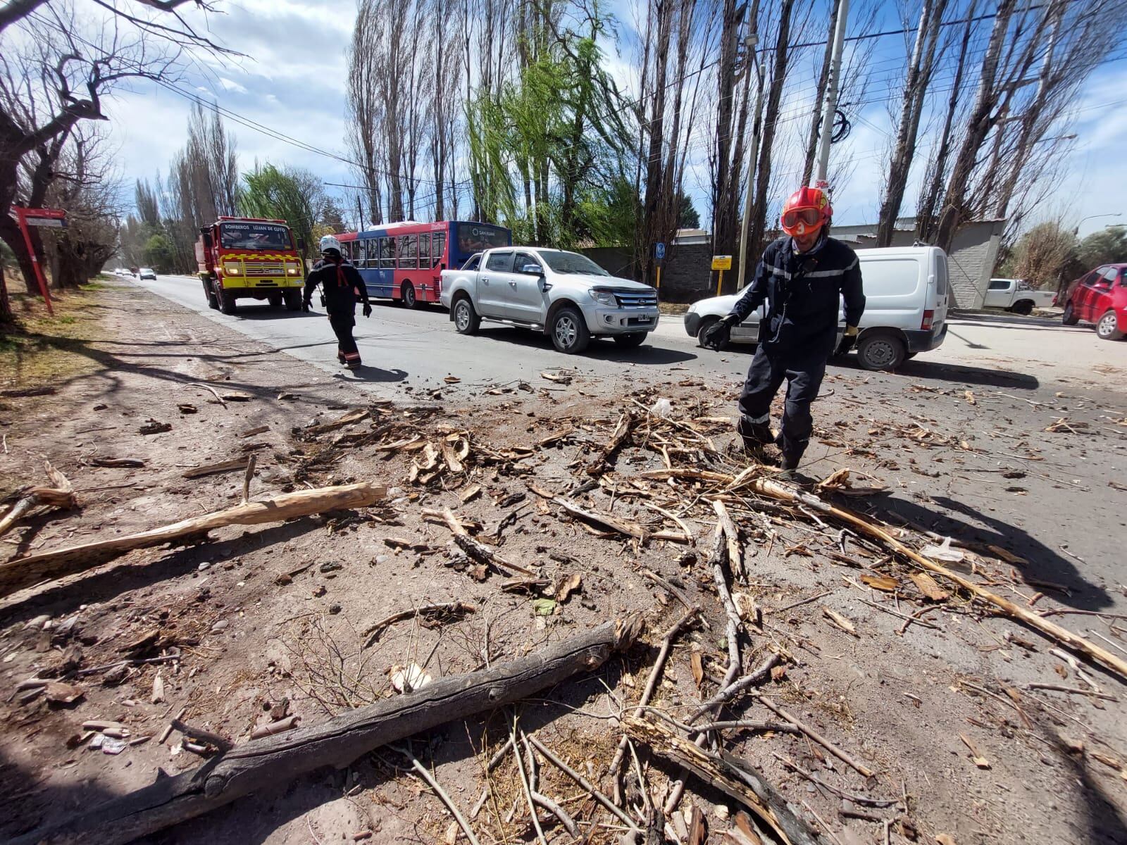 Rama caída sobre la calzada por el fuerte viento en el centro de Luján de Cuyo. / Foto: Ignacio Blanco