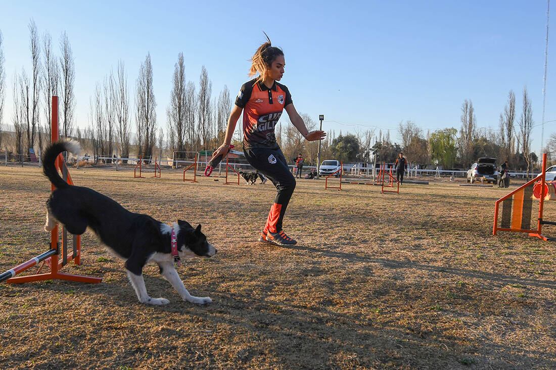 Las personas pueden asistir con sus perros y entrenarse para competir o como un pasatiempo.