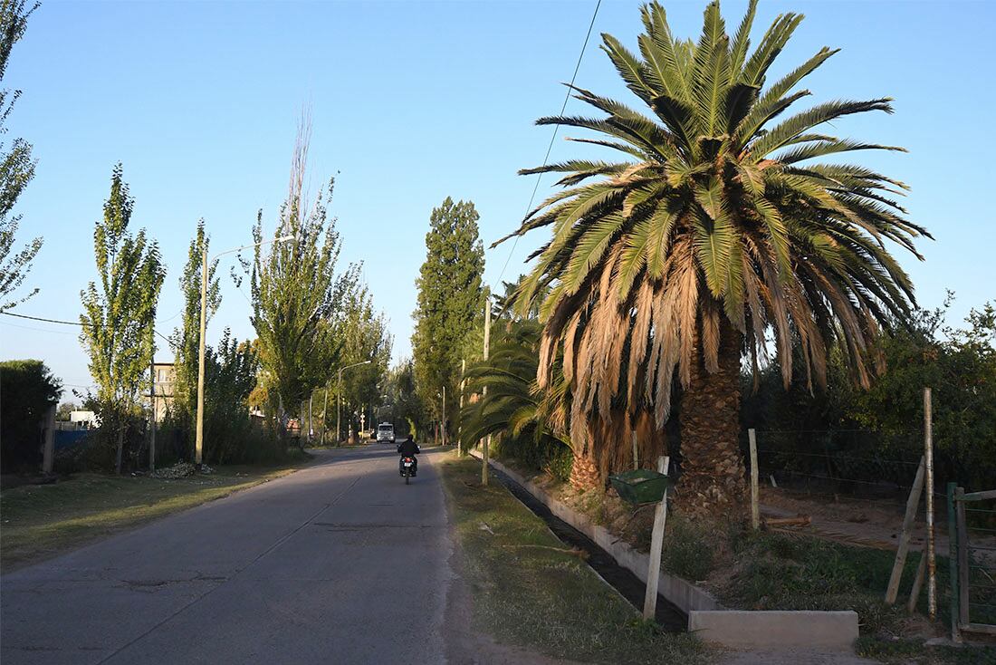 Lugares mendocinos, carril Franklin Villanueva de Lunlunta en el departamento de Maipú. Foto:  José Gutiérrez / Los Andes 