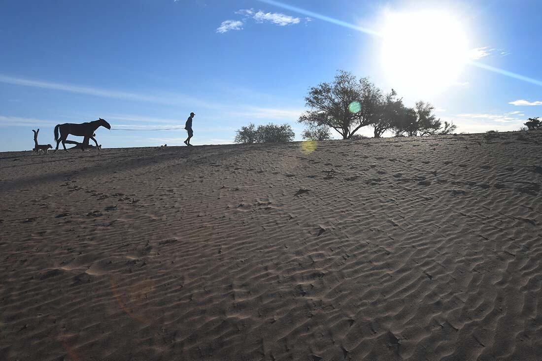 Desde el mes de Mayo del 2021 no llueve, y los animales mueren de sed y tambien de hambre al no haber pasto por la escases de lluvia en la zona.
En el puesto del paraje El cavadito, están  preocupados por la sequía y la mortandad de animales. Foto: José Gutierrez