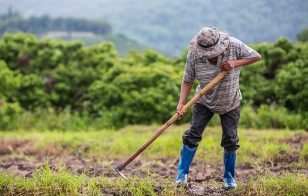 Los dueños de la finca abandonaron al trabajador que terminó falleciendo.