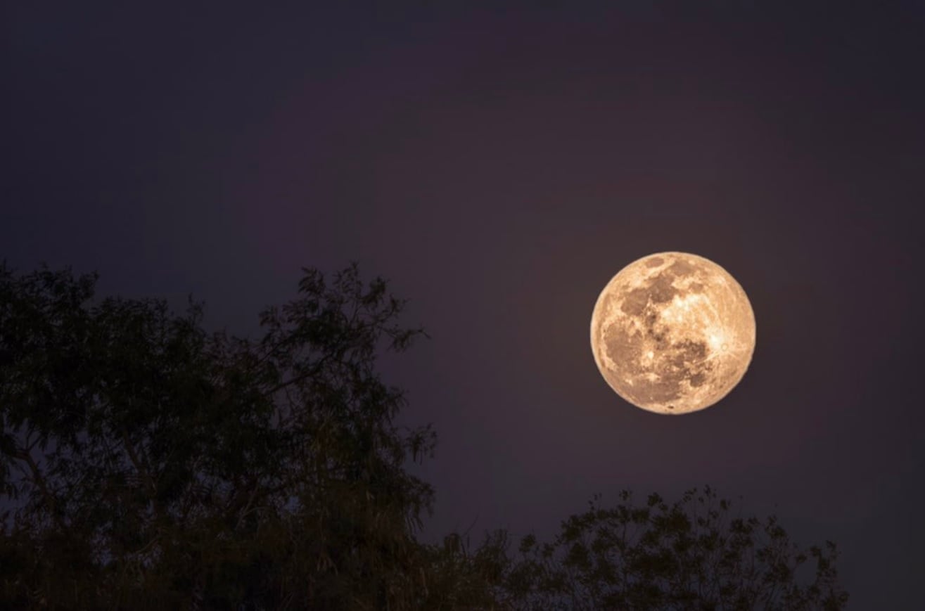 Sacar fotos a la luna como un experto.