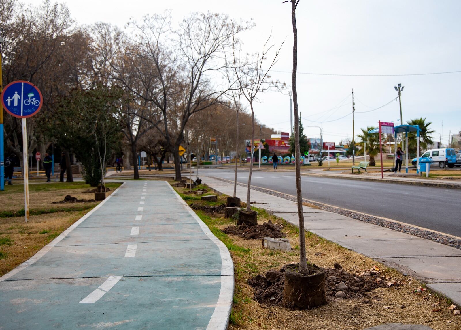 Maipú celebró juntos a vecinos el Día Provincial del Árbol