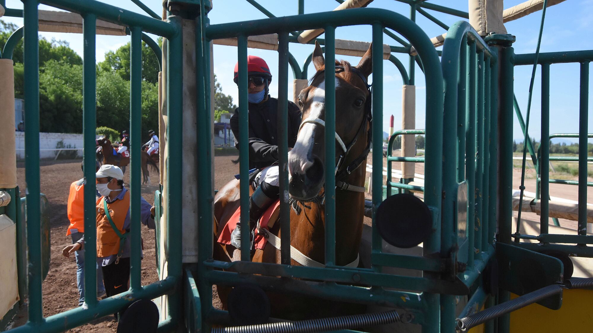 Un jinete ingresa a las gateras para comenzar una nueva prueba en el hipódromo de Mendoza.