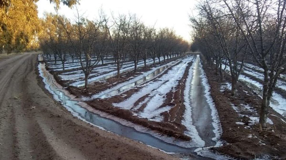 Los damnificados por heladas deberán presentar su denuncia ante la DCC