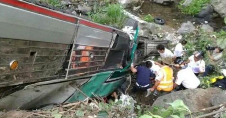 Un enjambre de abejas africanas atacó a los pasajeros de un colectivo que había desbarrancado - Foto 
Twitter Zona Cero