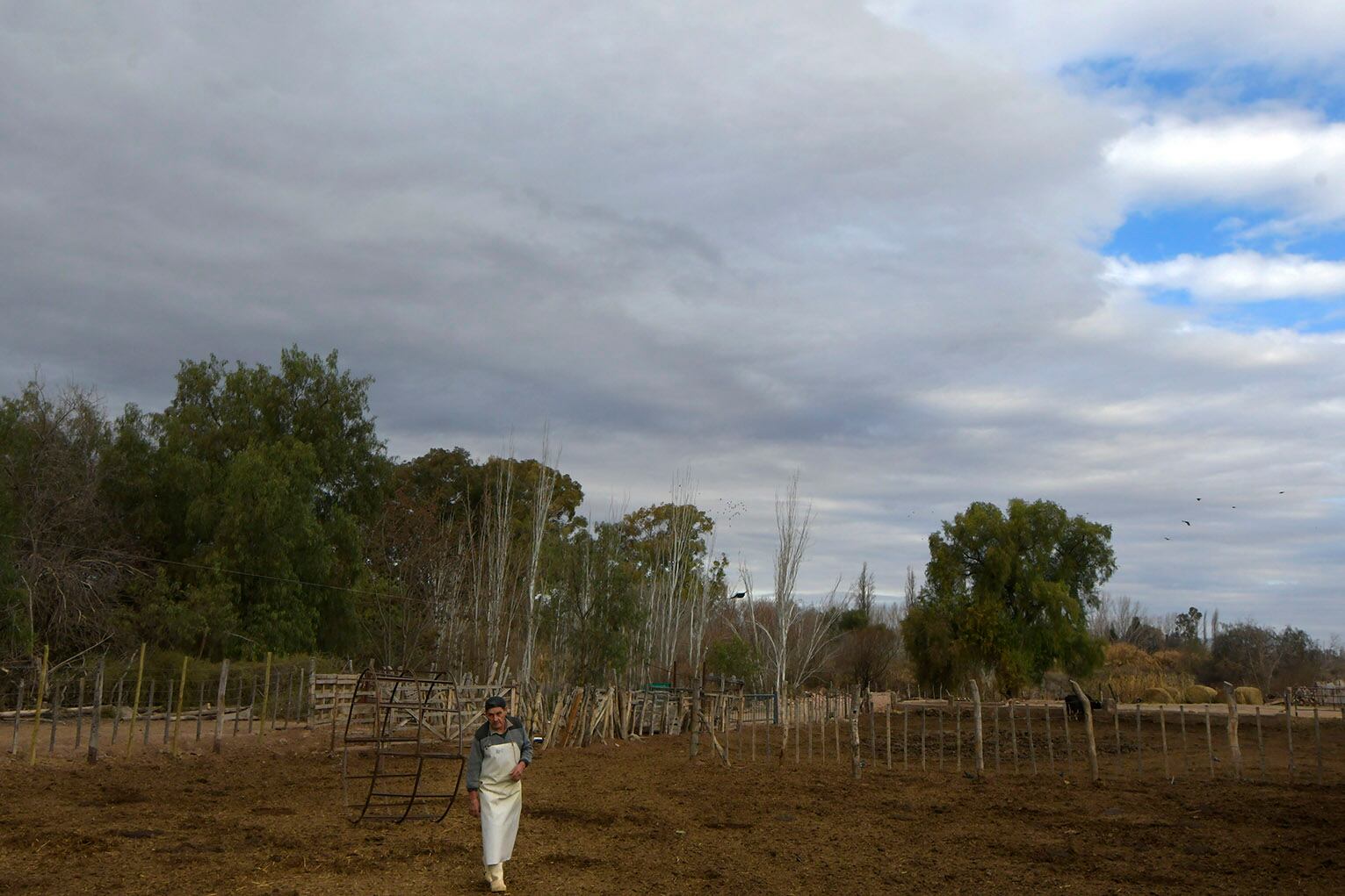 Foto: Orlando Pelichotti / Los Andes