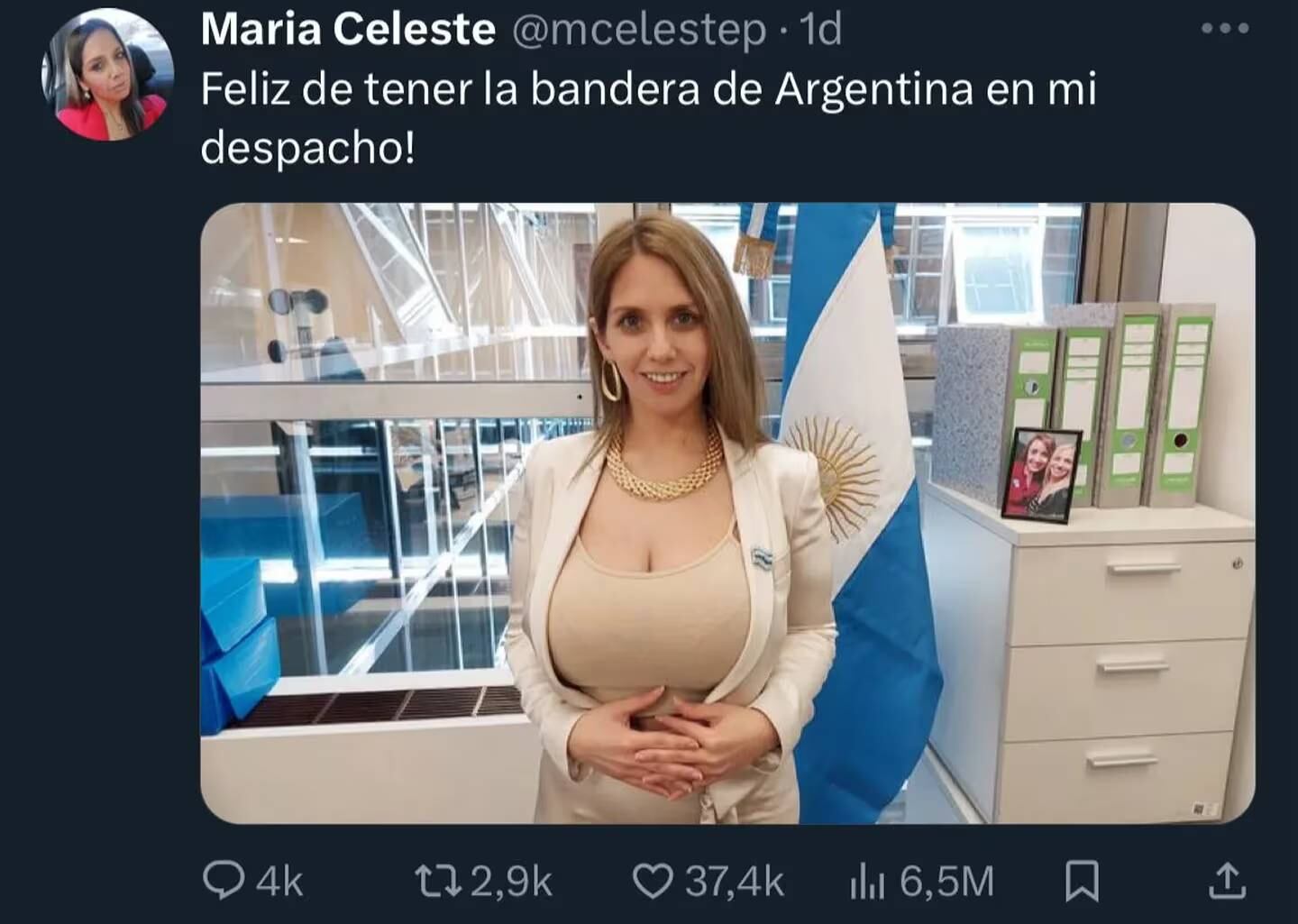 La diputada libertaria cordobesa María Celeste Ponce y su posteo en la red social X.