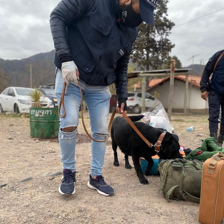 Para el operativo especial se dispuso el desplazamiento de 3.000 policías y de personal de los municipios. Foto: Gentileza