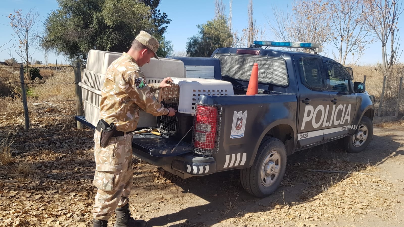 El lugar donde los perros mataron a la mujer en Rivadavia. Orlando Pelichotti / Los Andes