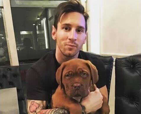 Hulk, el perro de Messi tiene una avanzada edad.