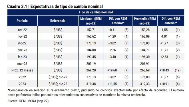 El tipo de cambio nominal mayorista ($/US$) promedio mensual de días hábiles se ubicó en $143,63 por dólar
en septiembre de 2022. El pronóstico de quienes responden el REM indica una suba mensual de $9,08 (+6,3%
mensual) por dólar hasta $152,71 por dólar en oct-22