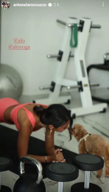 Anto Roccuzzo mostró al nuevo perro de la familia